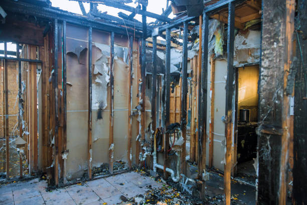 Professional Fire Damage Assessment technician working in Savage, MD